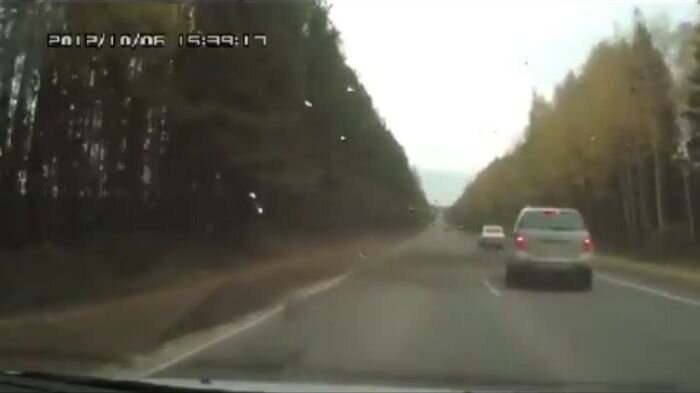Видео дня