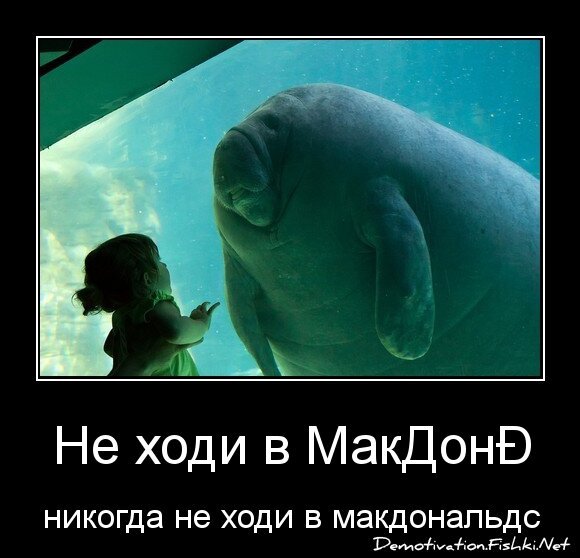 Не ходи в МакДональдс