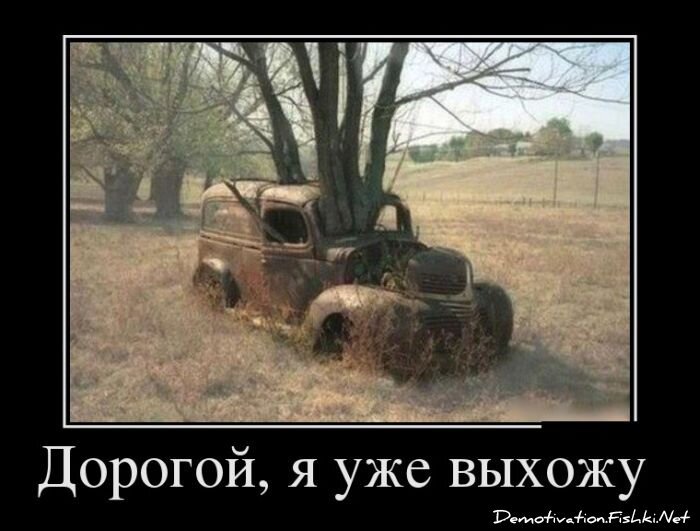 Демотиватор