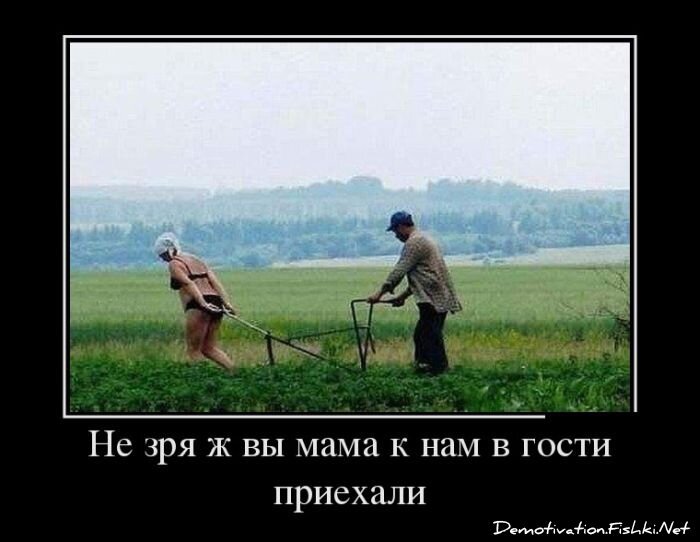 Демотиватор