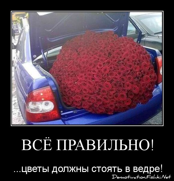 Всё правильно!