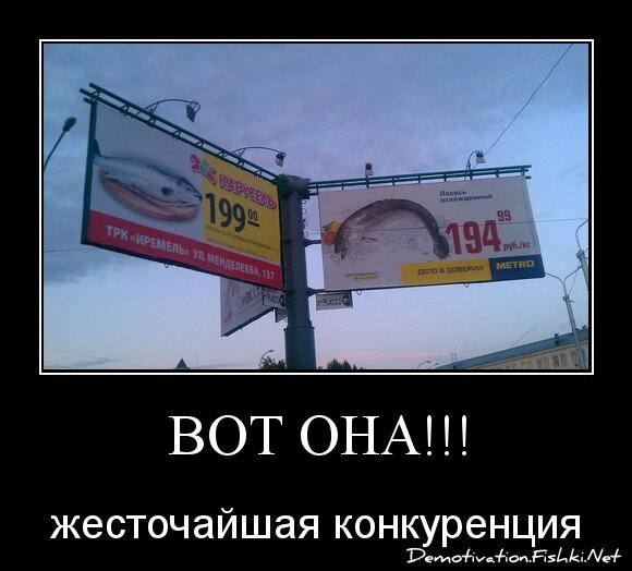 ВОТ ОНА!!!