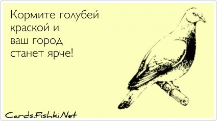 Кормите голубей краской и ваш город станет ярче!