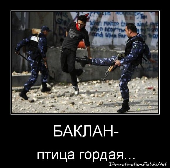 Баклан-