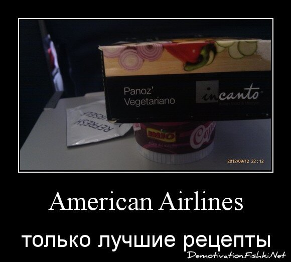 American Airlines