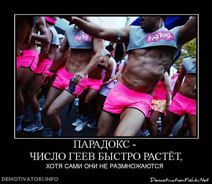 Смешной демотиватор от zubrilov за 12.11.2012 №135990