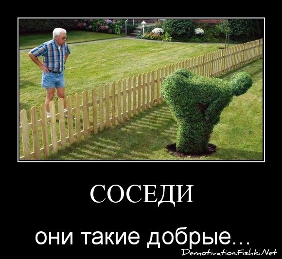 СОСЕДИ