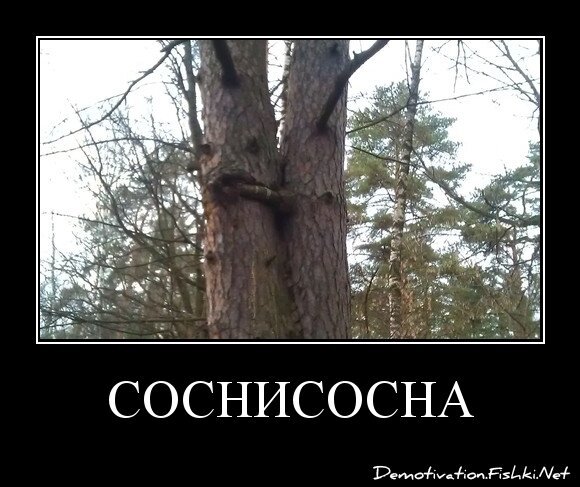 Соснисосна