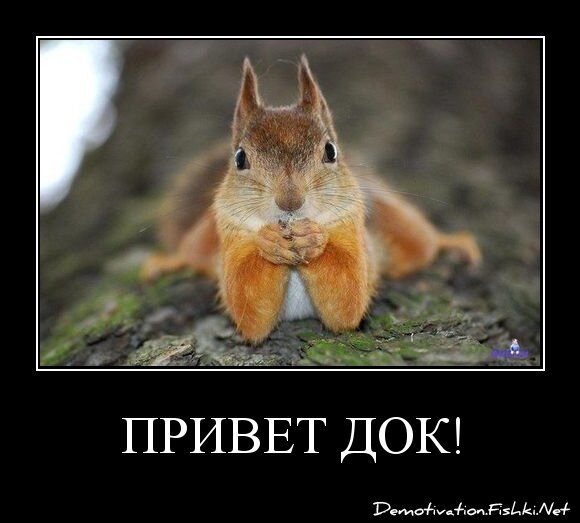 Привет док!