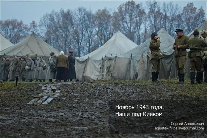 Нашел фотографию девушки на войне и выжил