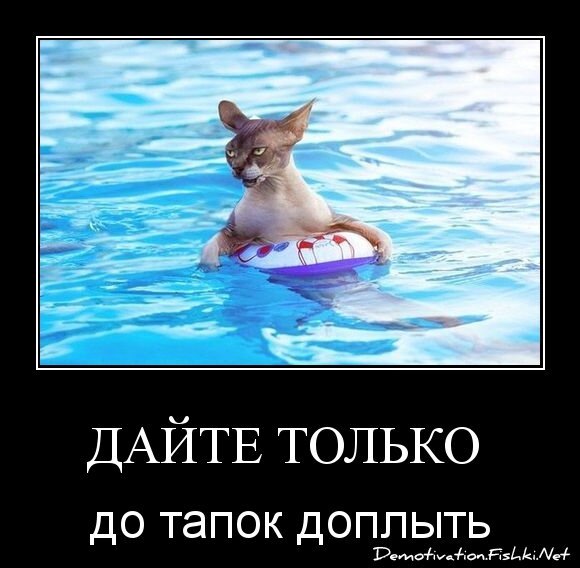 дайте только 