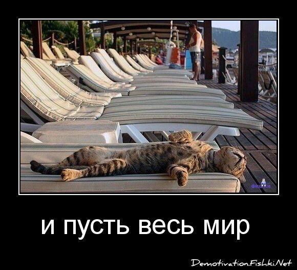 и пусть весь мир подождет