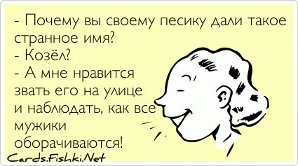 - Почему вы своему песику дали такое странное имя? -...