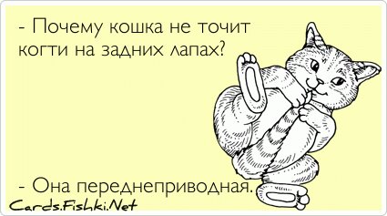 - Почему кошка не точит когти на задних лапах?      - Она...