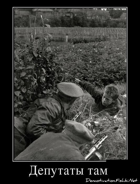 Демотиватор
