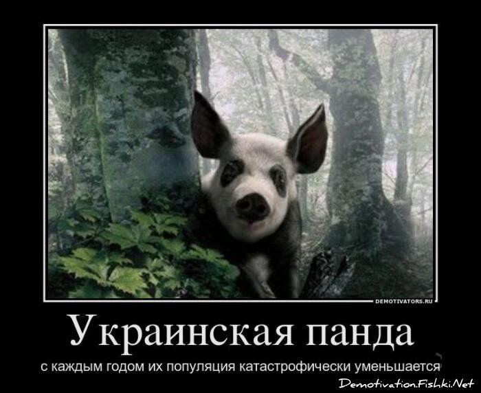 Демотиватор