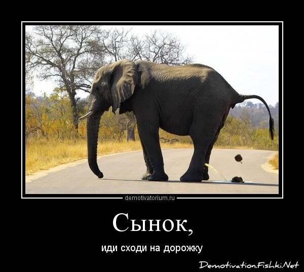 Демотиватор