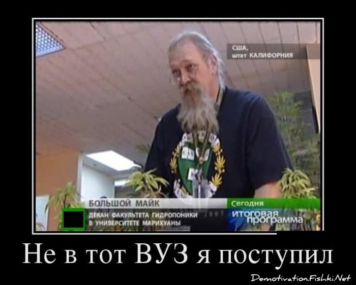 Демотиватор