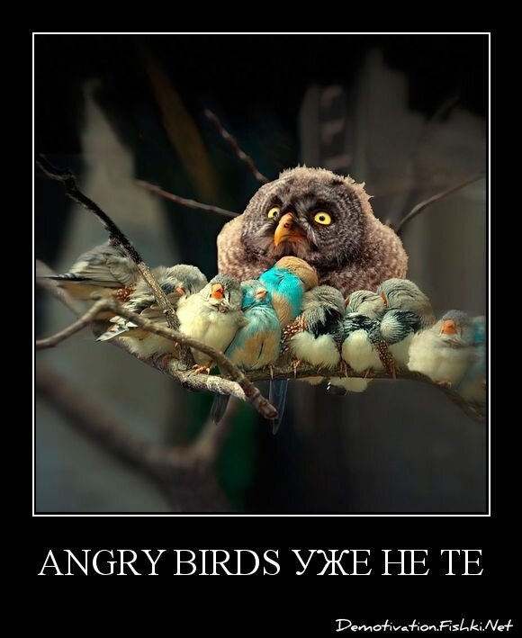 angry birds уже не те