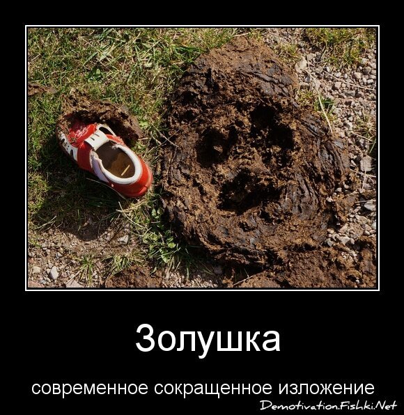  Золушка
