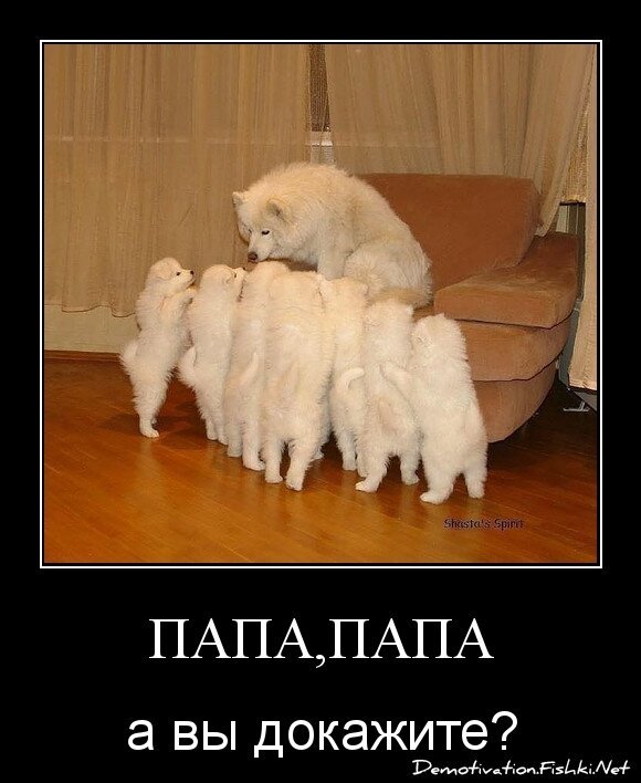 папа,папа