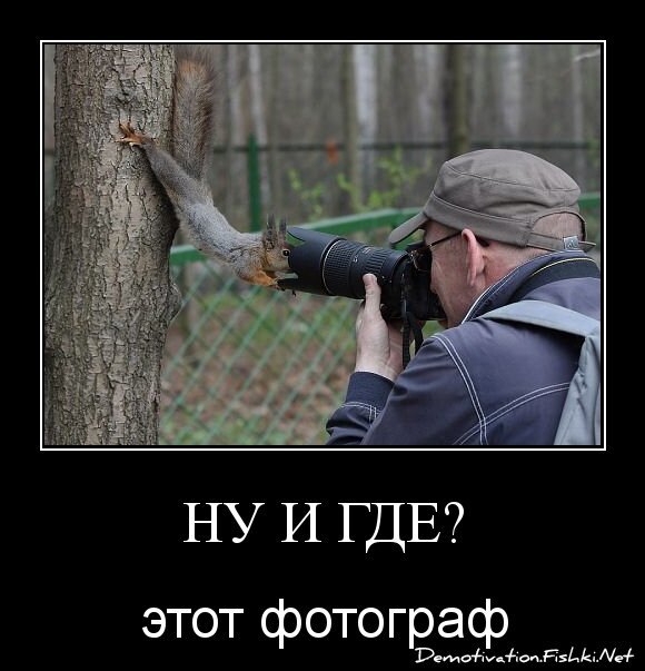 ну и где?