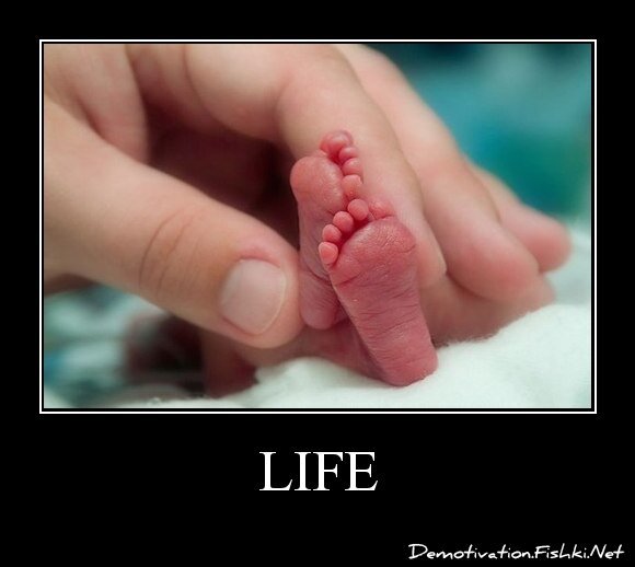 LIFE