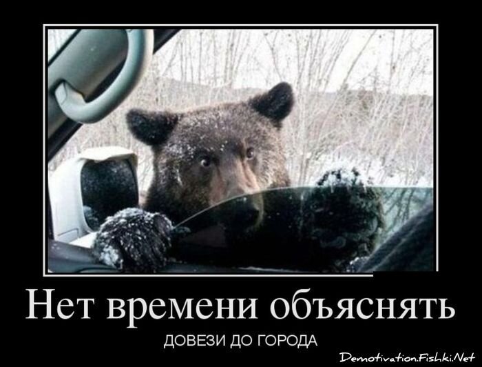 Демотиватор
