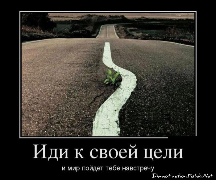 Демотиватор