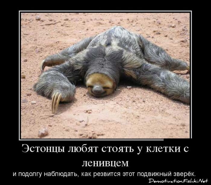 Демотиватор