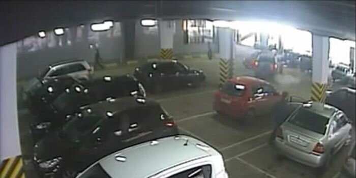 Видео дня