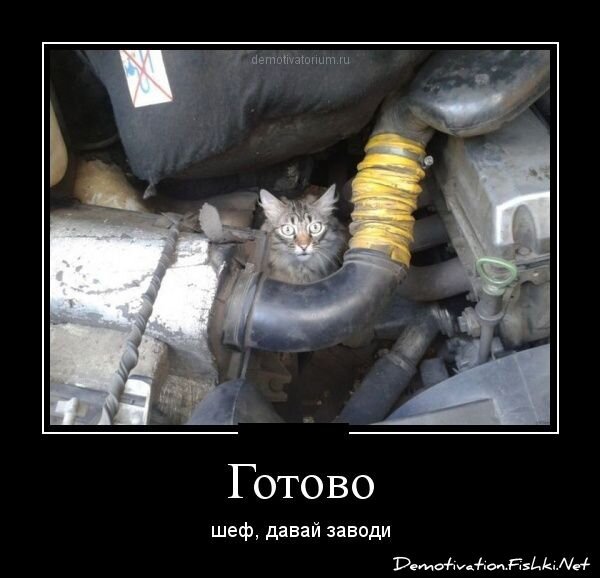Смешной демотиватор от zubrilov за 28.11.2012 №137937