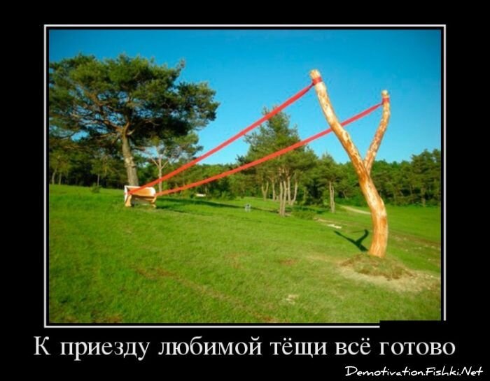 Смешной демотиватор от zubrilov за 28.11.2012 №137949