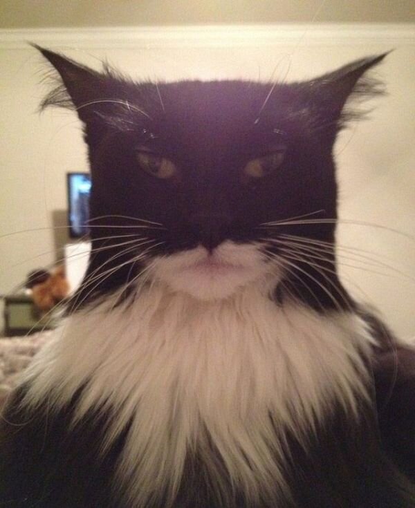 Красивые фото