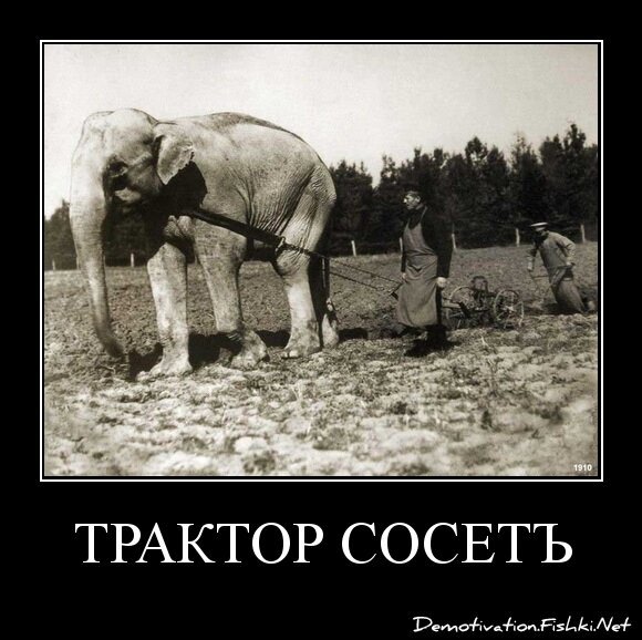 трактор сосетъ