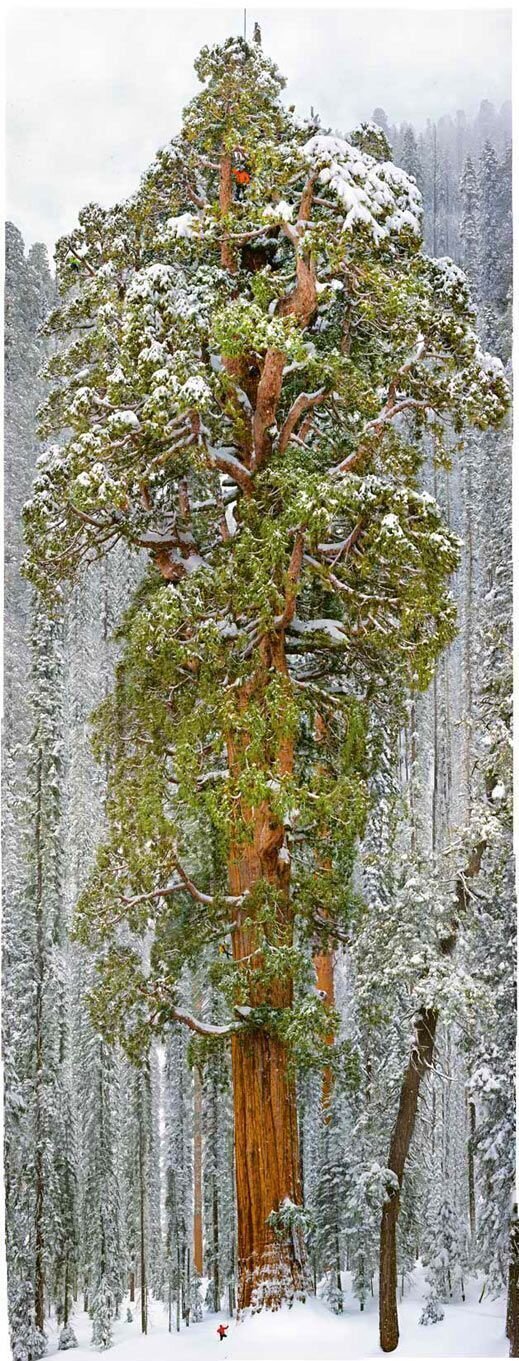 Фотоприкол дня