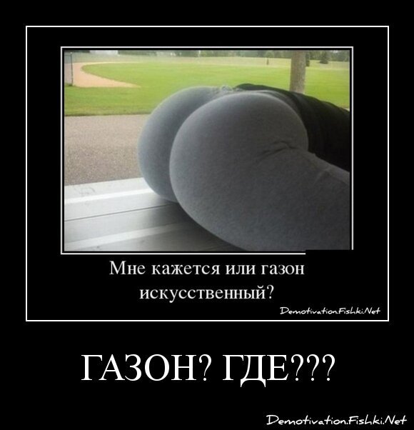 Газон? Где???