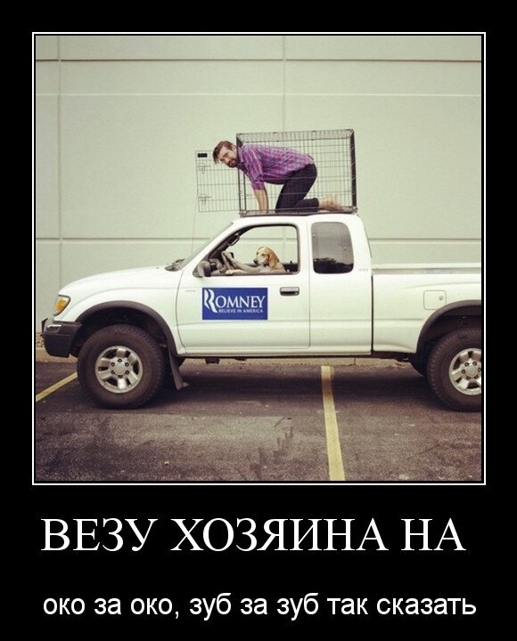 Везу хозяина на кострацию
