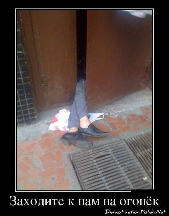 Смешной демотиватор от zubrilov за 10.12.2012 №139497