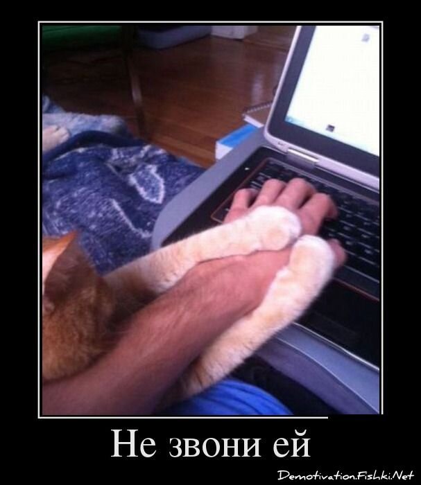 Смешной демотиватор от zubrilov за 10.12.2012 №139499