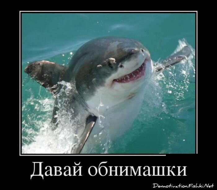 Смешной демотиватор от zubrilov за 10.12.2012 №139520