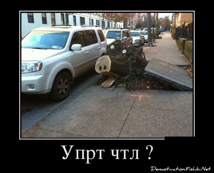 Смешной демотиватор от zubrilov за 10.12.2012 №139522