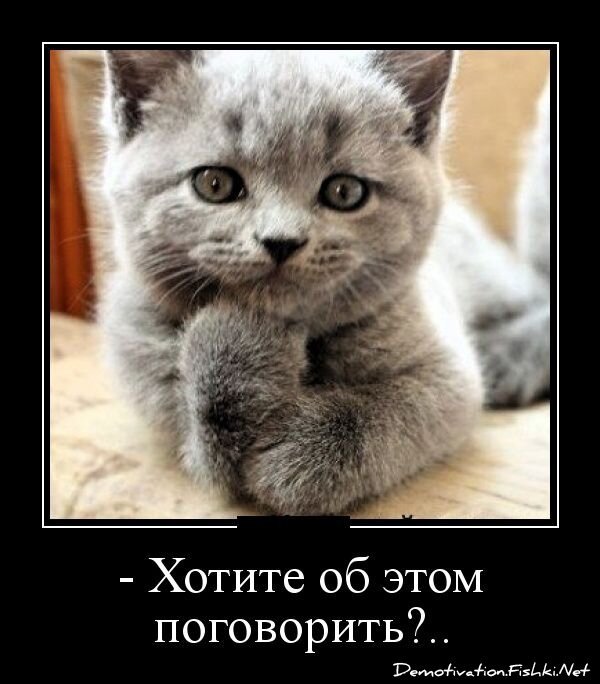 Смешной демотиватор от zubrilov за 10.12.2012 №139527