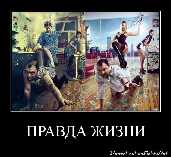 Правда жизни