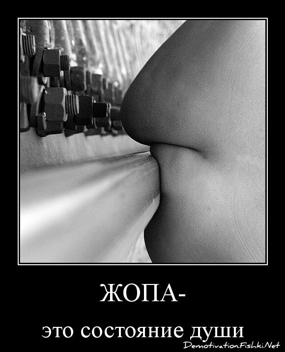 Жопа-