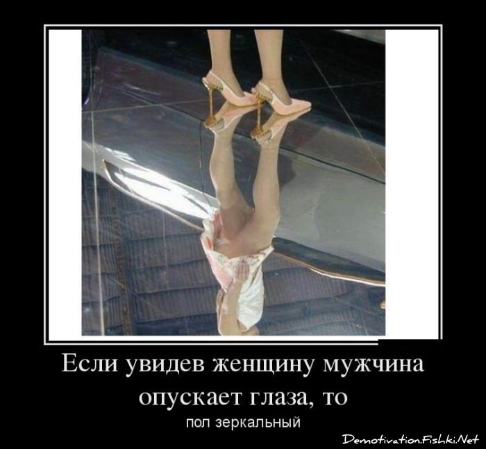 Смешной демотиватор от zubrilov за 12.12.2012 №139871