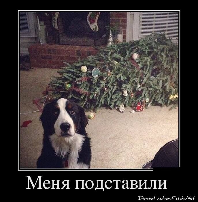 Смешной демотиватор от zubrilov за 12.12.2012 №139874