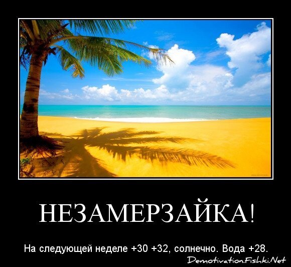 Незамерзайка!