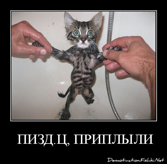  ПИЗД.Ц, ПРИПЛЫЛИ...