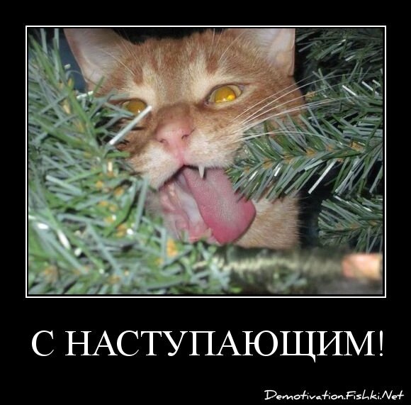 С наступающим!